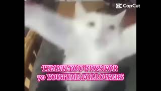 THANKS FOR 70 SUB!