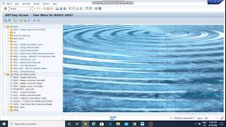 How to create Outbound Delivery in SAP (DEMO) : How to Create PGI in SAP (DEMO)