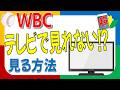 WBCがテレビで見られない？見る方法をやさしく解説　2026.3.5