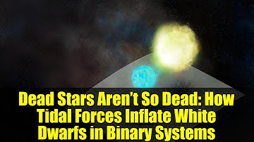 Dead Stars Aren’t So Dead: How Tidal Forces Inflate White Dwarfs in Binary Systems