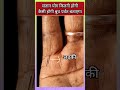          hastrekha palmistry analysis viral shorts