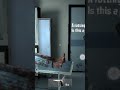 Endless Nightmare Weird Haspital horror game chapter 2 zombie Haspital desh bhakti dost 💔💔 ki death