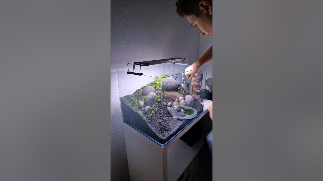 My Full Iwagumi Aquascape Build video with all the tips you need to create your own planted aquarium My Full Iwagumi Aquascape Build video with all the tips you need to create your own planted aquarium