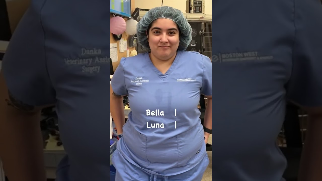 Veterinary staff answer: what’s the most common dog name? 