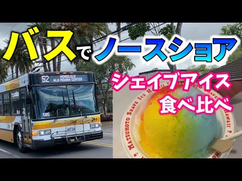 ハワイ21年 バス で行くノースショア ハレイワ シェイブアイス食べ歩き マツモトシェイブアイス アオキシェイブアイス Youtube