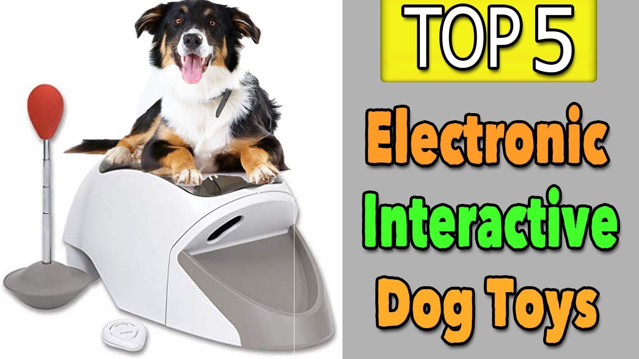 Best Electronic Interactive Dog Toys YouTube