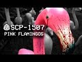 SCP-1507 - Pink Flamingos 🐦 : Object Class - Euclid : Swarm SCP