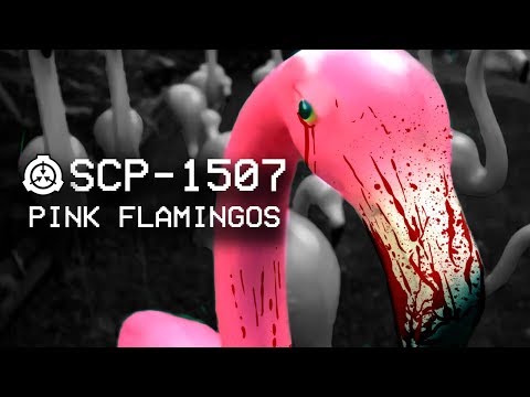Video: Flamingo: Nogle Af Arterne