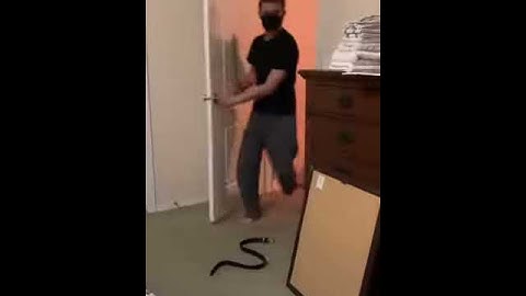 Woman plays fake snake prank on husband viral video