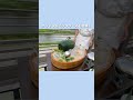 【京都】鴨川の川床・納涼床が始まりました🍃