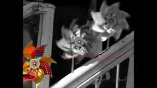 Şefik Kaplan - Bir Sonbahar Gününde -