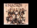 MI CHICA IDEAL  BANDA MACHOS