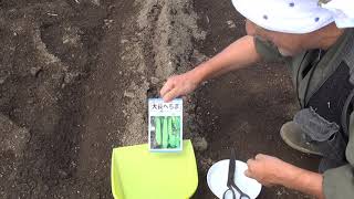 ヘチマの種まき　2105/02 Vol.698