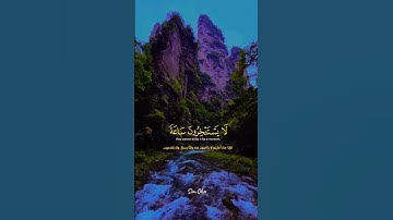 سورة النحل للقارء ياسر الدوسري🎧🤍#القرآن #القران_الكريم #القران_نور #القران_نور_حياتي #fyp #foryou