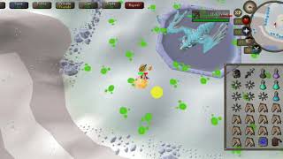 OSRS Mobile Killing Vorkath