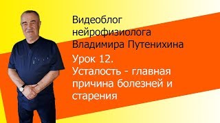 Урок 12. Усталость - главная причина болезней и старения Урок 12. Усталость - главная причина болезней и старения