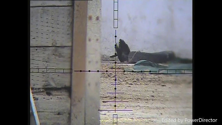 Air Rifle Pest Control  Corvids.  Farm Yard  Clearence