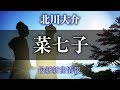 菜七子/大人のしあわせ - 北川大介