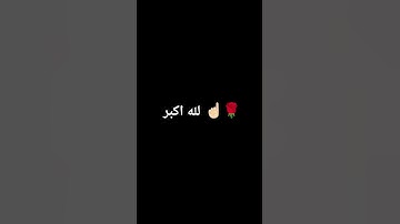 #ياسر_الدوسري #سورة_المؤمنون #قرآن #اكسبلور #لايك