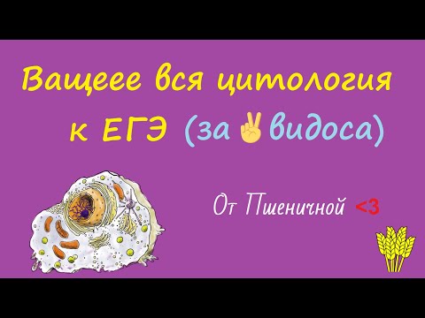 Вся цитология к