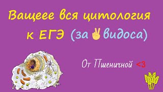 Вся цитология к ЕГЭ! (часть 1)