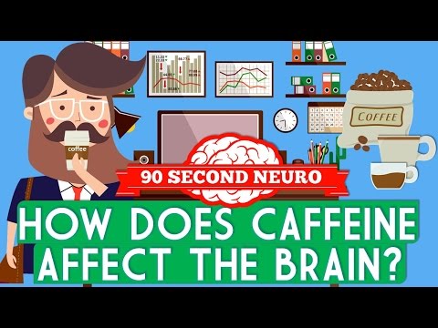 How does caffeine affect the brain?