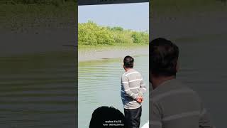 sundarban e open kumir er dakha#likeandsubscribe