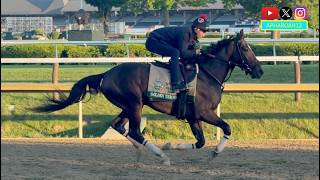 Kentucky Derby Champion Golden Tempo, Runner-Up Renegade Prepare for Rematch in 2026 Belmont Stakes