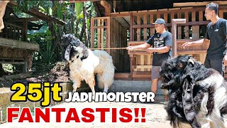 PESAING ELANG SAKTI DAN MAHKOTA RAJA 🔴 || KKTV