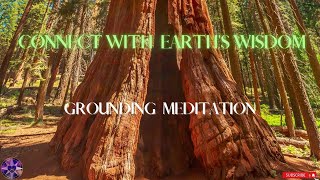 Ancient Sequoia Grounding Meditation | Connect with Earth's Wisdom