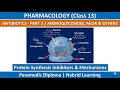 Antibiotics-2/Aminoglycosides, MLSK &amp; Others| Pharmacology (13th Class)| Paramedic Diploma| Hybrid