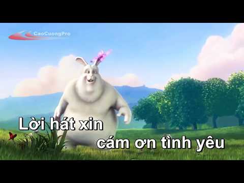 Cám ơn Tình yêu - Uyên Linh Karaoke -Cut