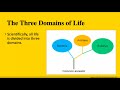 The three domains of life bacteria archaea and eukarya  mcat biology