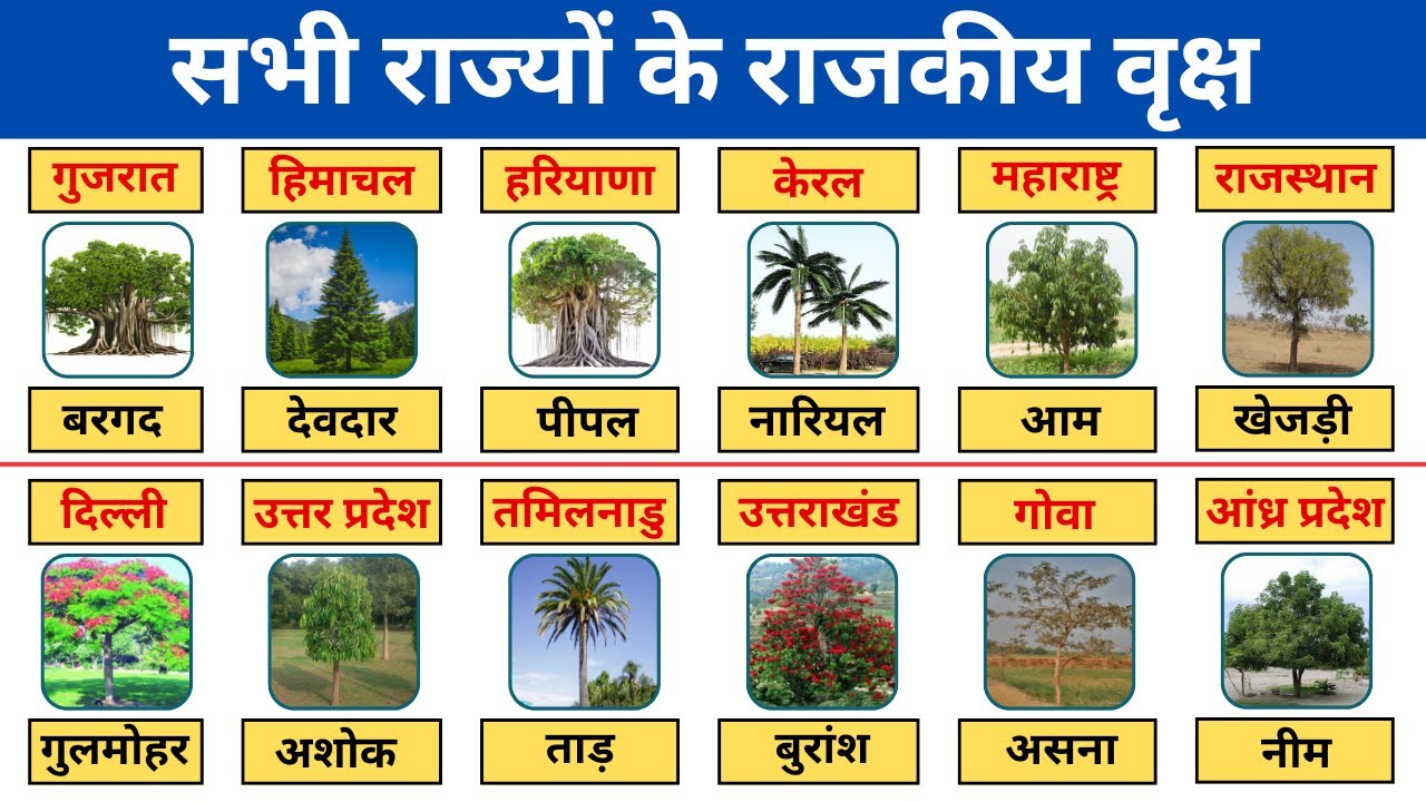 सभी राज्यों के राजकीय वृक्ष | 28 rajyo ke rajkiya vriksha | State trees ...