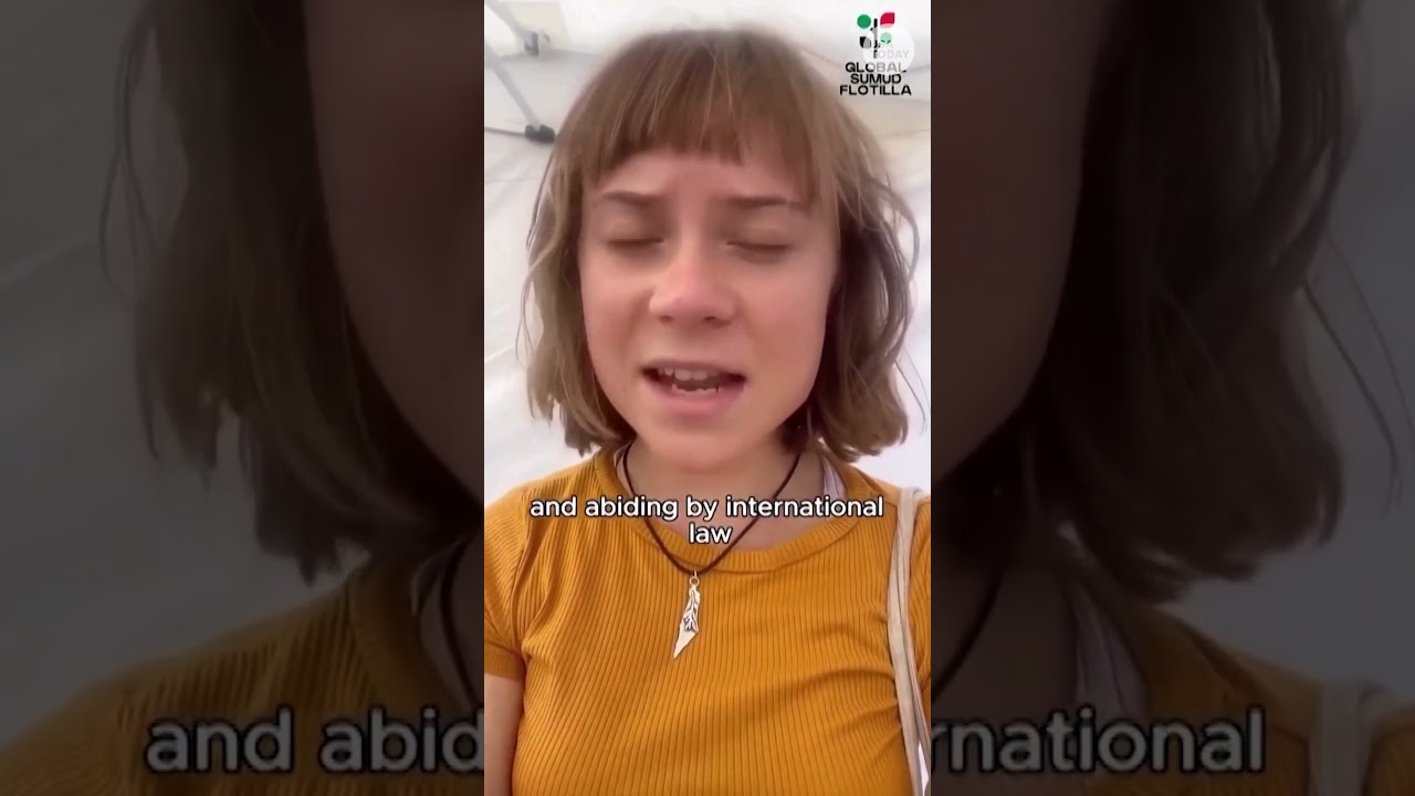 New York protests erupt over Gaza flotilla interception 