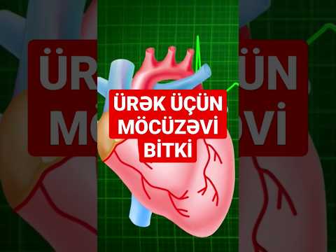 Video: Ürək əzələsi tapılıb?