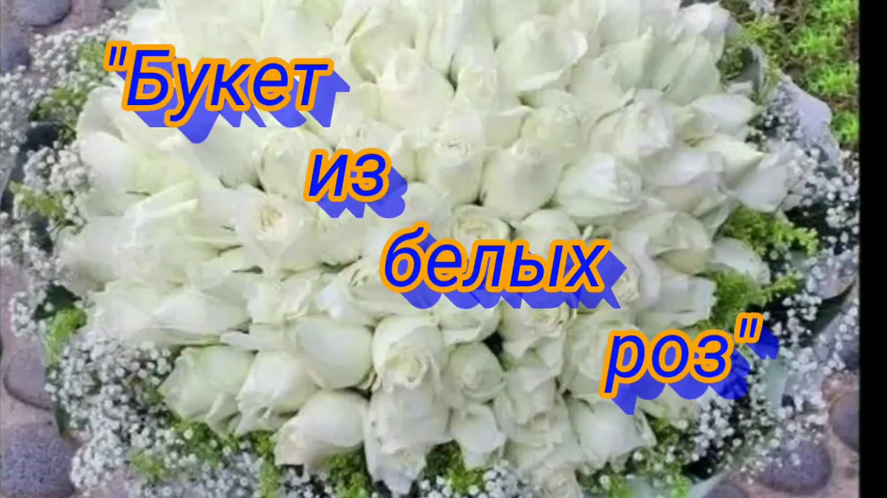 Песня ах белые розы