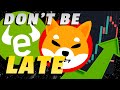 BIG Shiba Inu Coin UPDATE |  This Will Change EVERYTHING | ETORO just announced THIS about SHIB