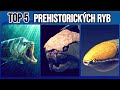 Top 5 Pravěkých ryb | Bruno