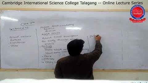 7th - [Science] - Lecture#2 - Muhammad Imran - CISC Online Lecture Series