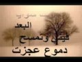 يامن رحل 