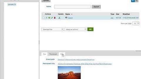 Analyzing Kentico Media Library Files With Azure Cognitivie Vision API