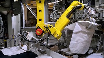 Robotic Valve Bag Placer