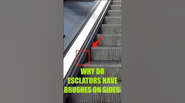 Why do Escalators have Brushes on the sides? #shorts #viralvideo