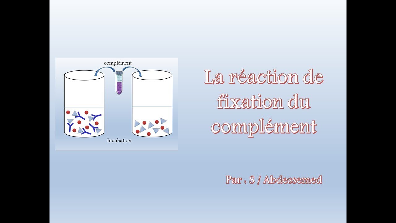 La réaction de fixation du complément YouTube