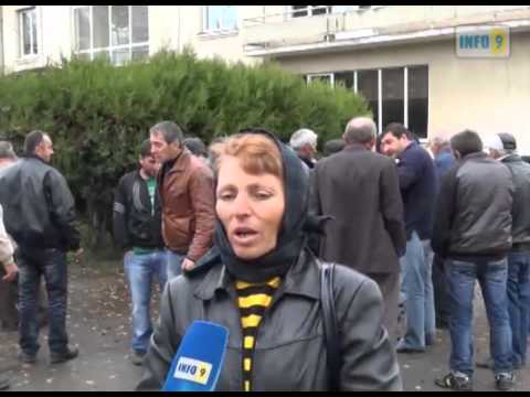 ეკომიგრანტები დახმარებას ითხოვენ