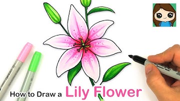 How to Draw a Lily Flower Easy