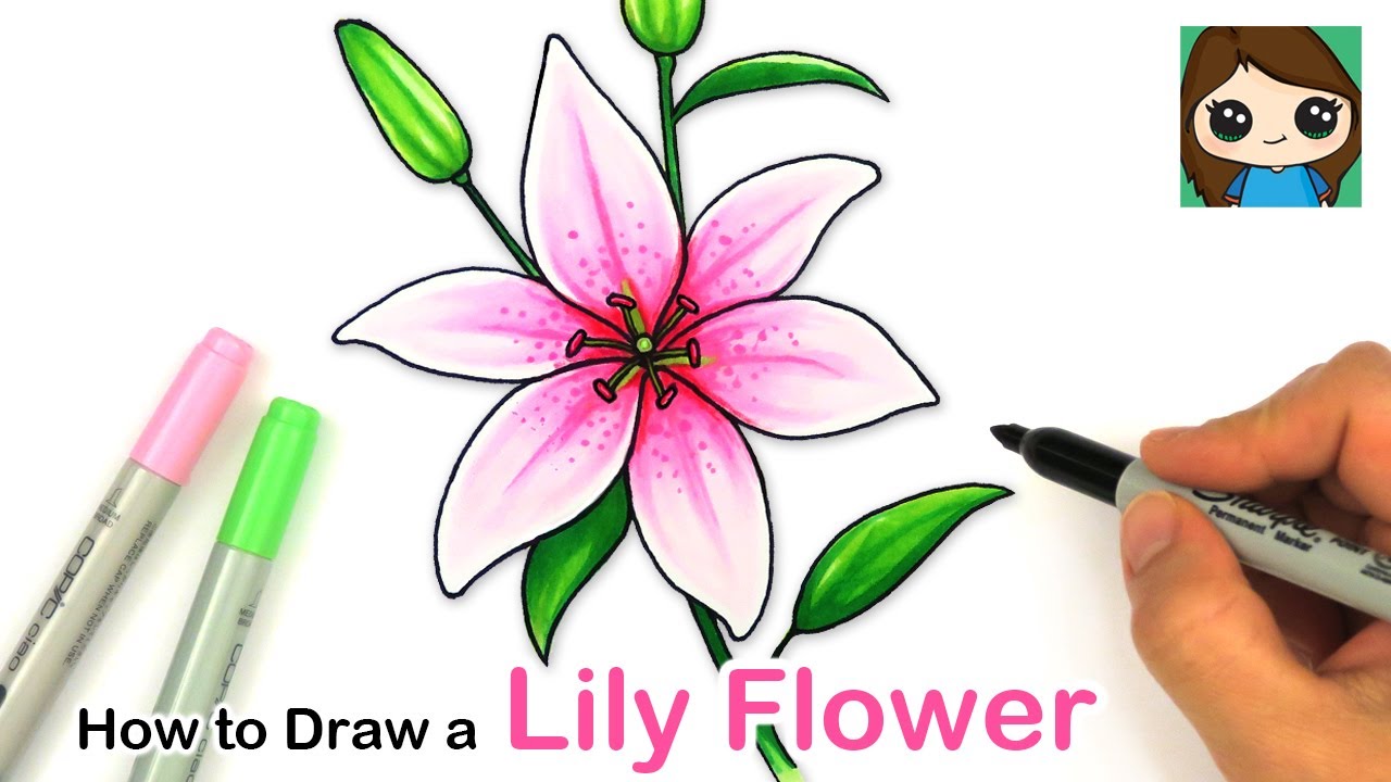 Featured image of post Cute Flower Drawing Outline : Flower drawings of cosmos flowers by katrina of blushed design.