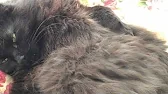 Я солнечнаЯ