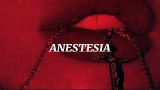 LUIZA NIS - ANESTHESIA {TRADUÇÃO\/LEGENDADO}